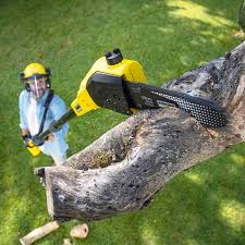 Best Hazardous Tree Removal  in Knik Fairview, AK